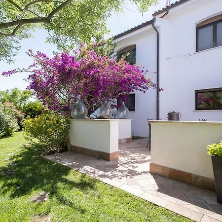 Vila Clicksardegna Fioretta Con Piscina Privata Olmedo